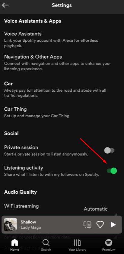 Spotify Friend Activity Not Working